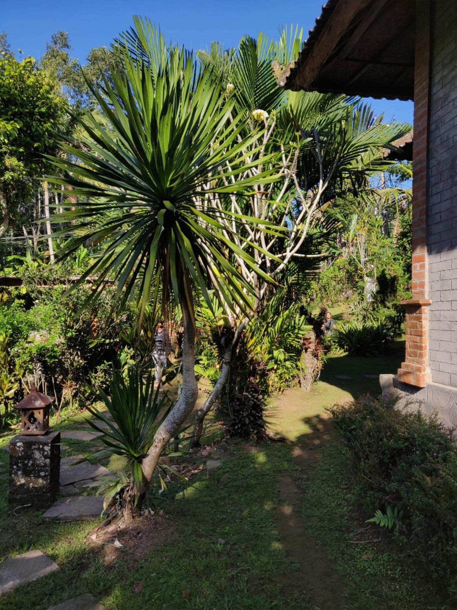 Dina Home Stay At Desa Wisata Wongayagede 자띠루위 외부 사진