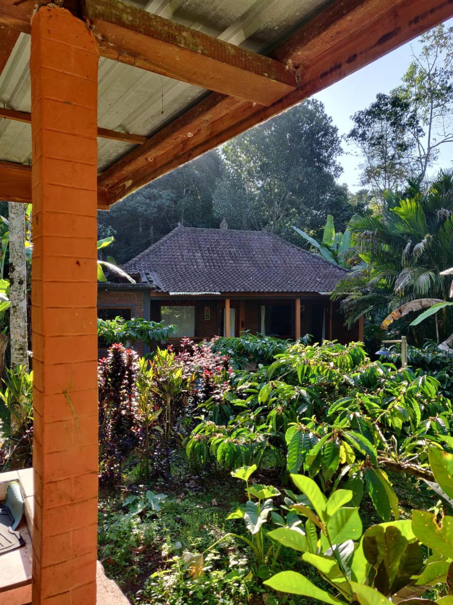 Dina Home Stay At Desa Wisata Wongayagede 자띠루위 외부 사진