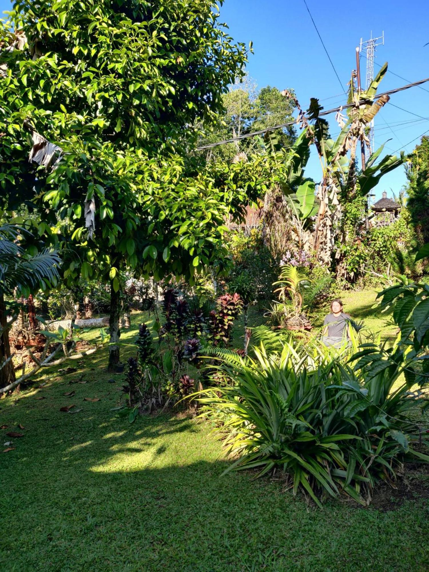 Dina Home Stay At Desa Wisata Wongayagede 자띠루위 외부 사진