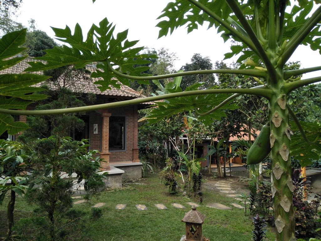 Dina Home Stay At Desa Wisata Wongayagede 자띠루위 외부 사진